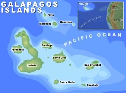 Galapagos Island Cruises